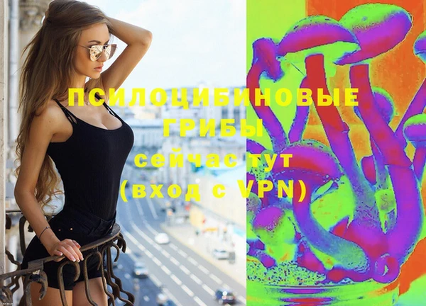 ГАЛЛЮЦИНОГЕННЫЕ ГРИБЫ Яровое