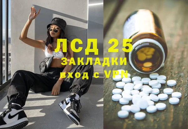 дживик Карпинск