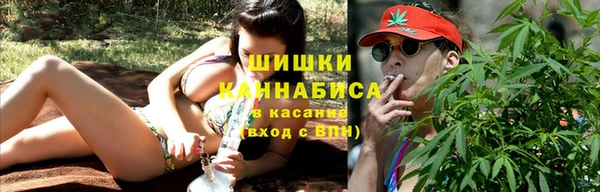 бошки Инта