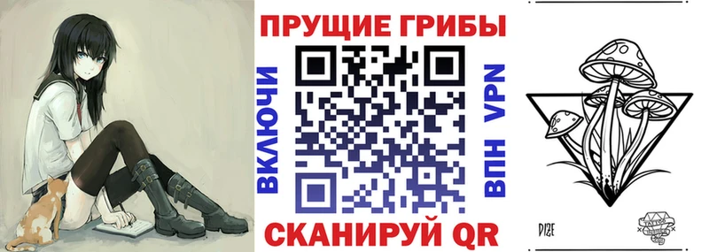 Псилоцибиновые грибы мицелий  KRAKEN маркетплейс  Кораблино 